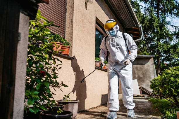 Best Termite Control Services  in Colfax, IA