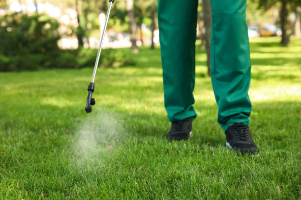 Wasp Removal Services in Colfax, IA