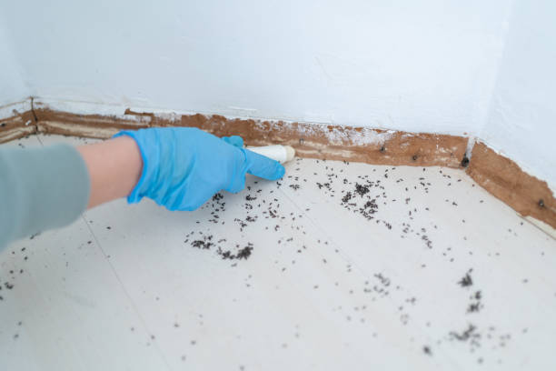 Best Exterminator Services  in Colfax, IA